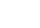 W&S MPU Beratung